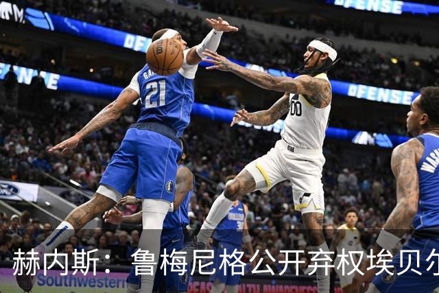 赫内斯：鲁梅尼格公开弃权埃贝尔投票没必要